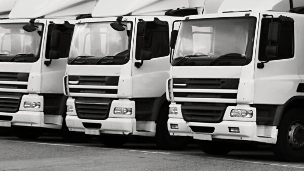 Transportunternehmen gründen